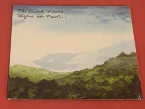 THE BLACK CROWES " BEFORE THE FROST... " 2 LP. ED. LIMITADA. VINILOS VERDES