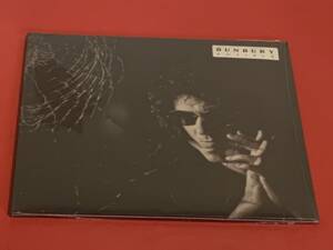 BUNBURY " POSIBLE " 1 LP + 1 CDSINGLE