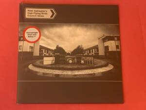 NOEL GALLAGHER'S HIGH FLYING BIRDS " COUNCIL SKIES " 1 LP + 1 SINGLE 7". VINILO DE 180 GR. ED. LIMITADA