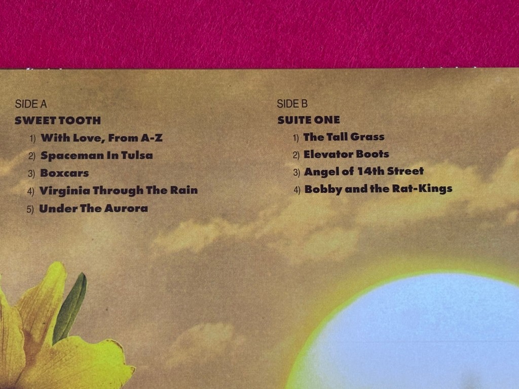 COUNTING CROWS " BUTTER MIRACLE: THE COMPLETE SWEETS! " 1 LP. SIGNED!!! - Image 7